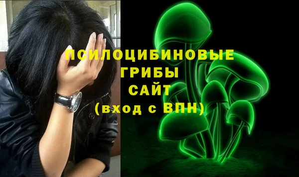 прущая мука Бронницы
