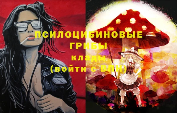прущая мука Бронницы